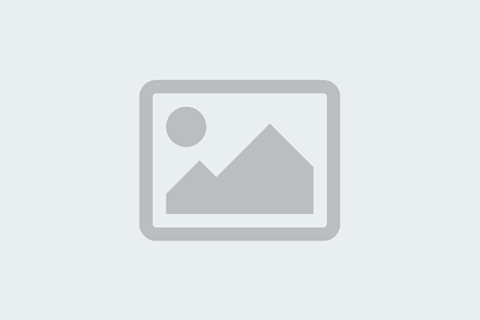 قابلیت تولید انواع بلوک